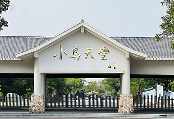 小鸟天堂第 10 张图片