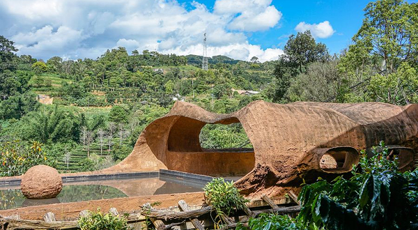 大开河梅子咖啡庄园