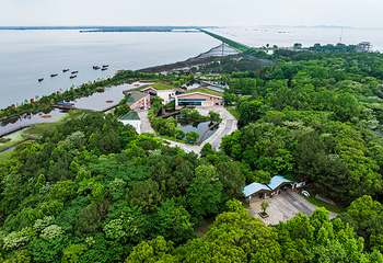 鄱阳湖国家湿地公园第 22 张图片