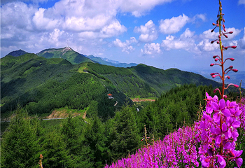 六盘山红军长征旅游区第 19 张图片