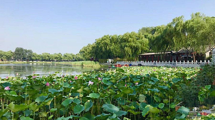 西海湿地公园3期第 1 张图片