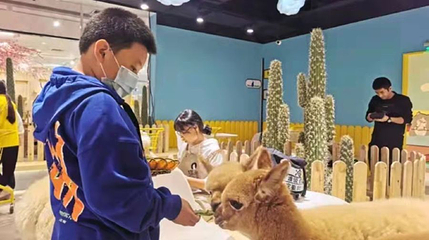 猫咪博物馆旗舰店(青羊万达)第 1 张图片