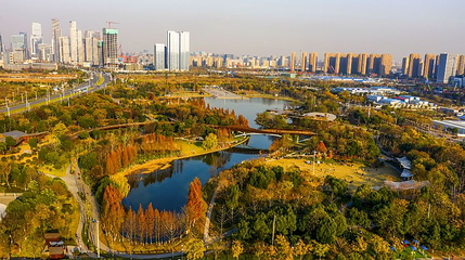 南京国际友谊公园第 1 张图片