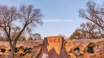 太阳岛风景区-松鼠岛