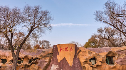 太阳岛风景区-松鼠岛第 1 张图片