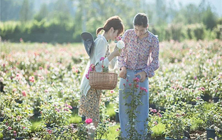 融创阿朵芳香谷