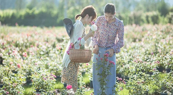 融创阿朵芳香谷