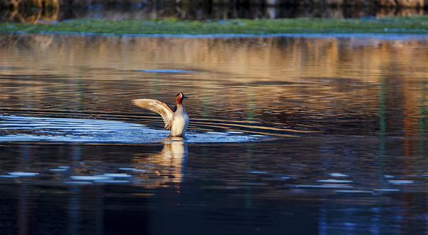 五大连池风景区