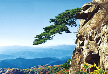 城子山风景区第 12 张图片