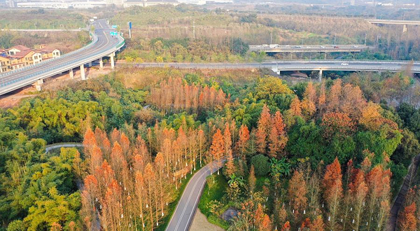 九曲河湿地公园