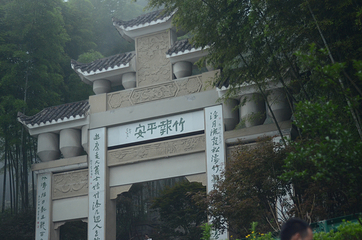 茶山竹海第 15 张图片
