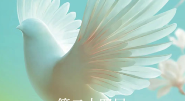 第二十四届中国上海国际艺术节