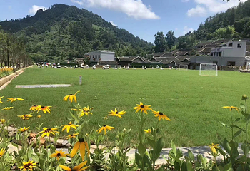 牙溪生态农场第 7 张图片