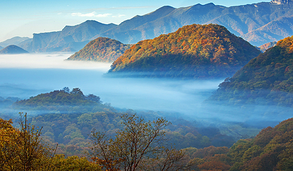 神农顶风景区第 12 张图片