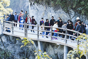 莽山五指峰景区第 64 张图片