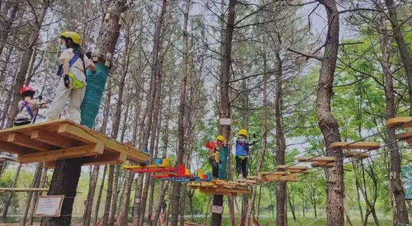 湘家荡森林公园壹马户外