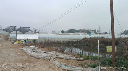 纳百川农场第 4 张图片