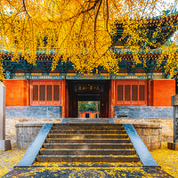 少林寺