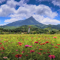 海南热带雨林国家公园五指山景区