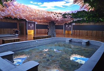 仙游万佳国际温泉度假村(鲤南永鸿文化城店)第 42 张图片