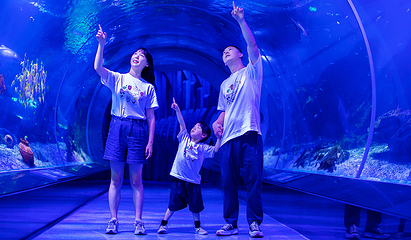 海合安武汉极地海洋公园第 214 张图片