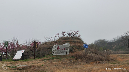 龟山村第 3 张图片