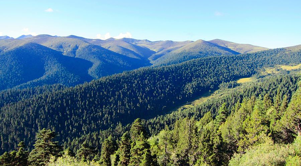 色季拉国家森林公园