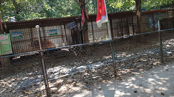 东花园-野生动物园