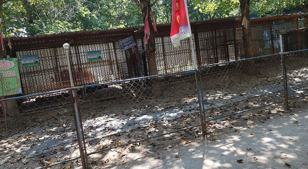 东花园-野生动物园