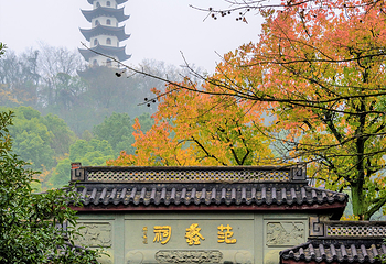 西施故里第 6 张图片