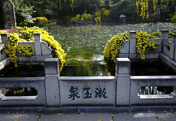 趵突泉景区第 333 张图片