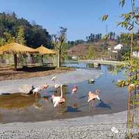 宜宾野生动物世界