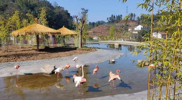 宜宾野生动物世界