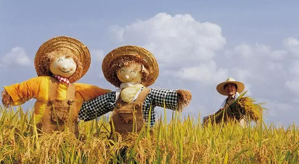 拖拉机联盟亲子乐园