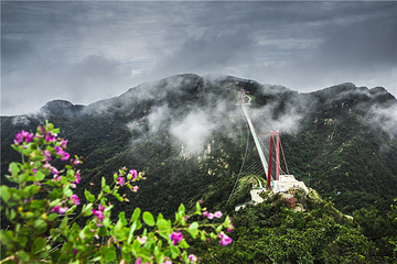 山东文旅·沂蒙山天蒙旅游区第 46 张图片