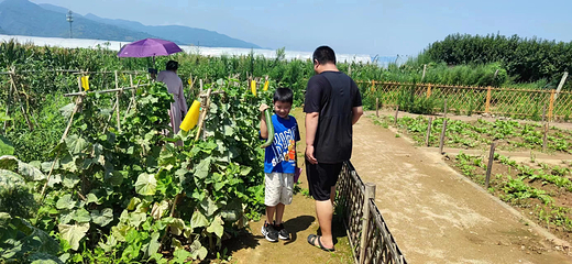 原乡农场第 41 张图片