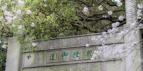 苏州上方山国家森林公园第 32 张图片