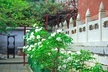 红螺寺第 164 张图片