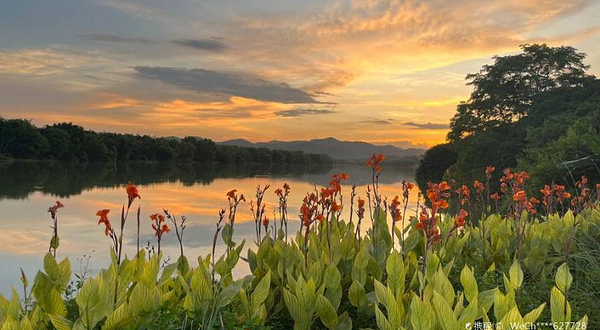流溪河夏湾拿湿地公园