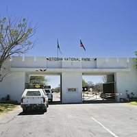 埃托沙国家公园
