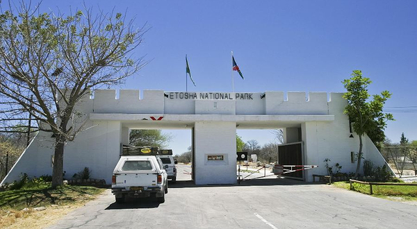 埃托沙国家公园