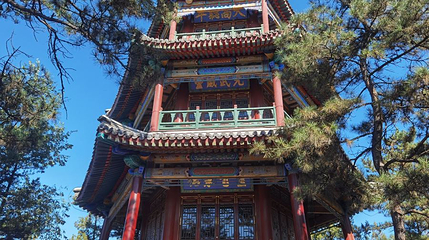 金山第 1 张图片