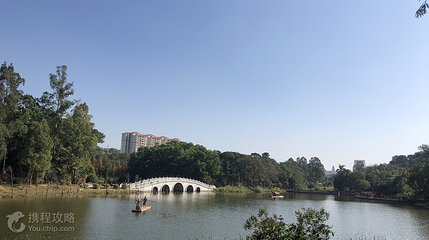 阳江市区森林公园第 4 张图片