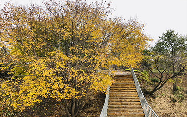 回龙山生态田园旅游区第 37 张图片