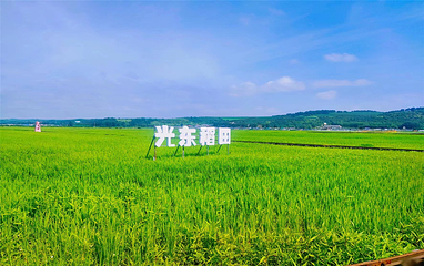 光东村第 41 张图片