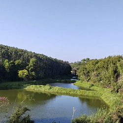 樱山花谷