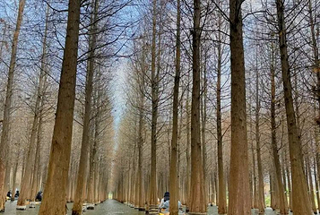 阿克苏木林水上乐园湿地公园店第 1 张图片