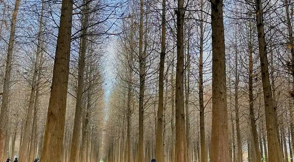 阿克苏木林水上乐园湿地公园店