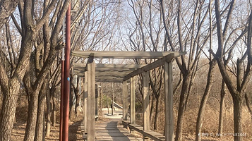 北胶新河湿地公园