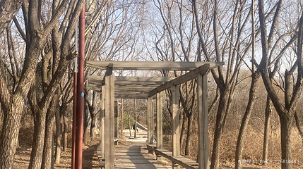 北胶新河湿地公园第 1 张图片
